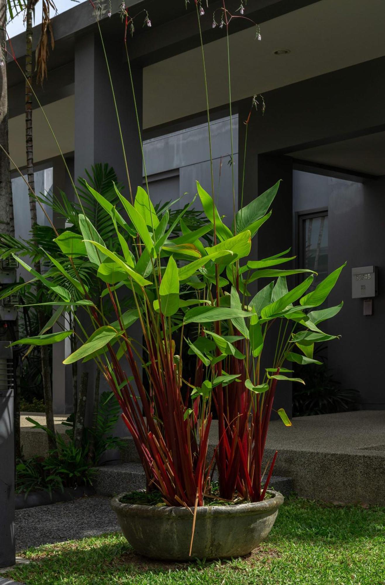 Villa Hanga| 3 Bedroom Private Pool | Onyx Villas By Tropiclook | Naiharn Beach Nai Harn Экстерьер фото